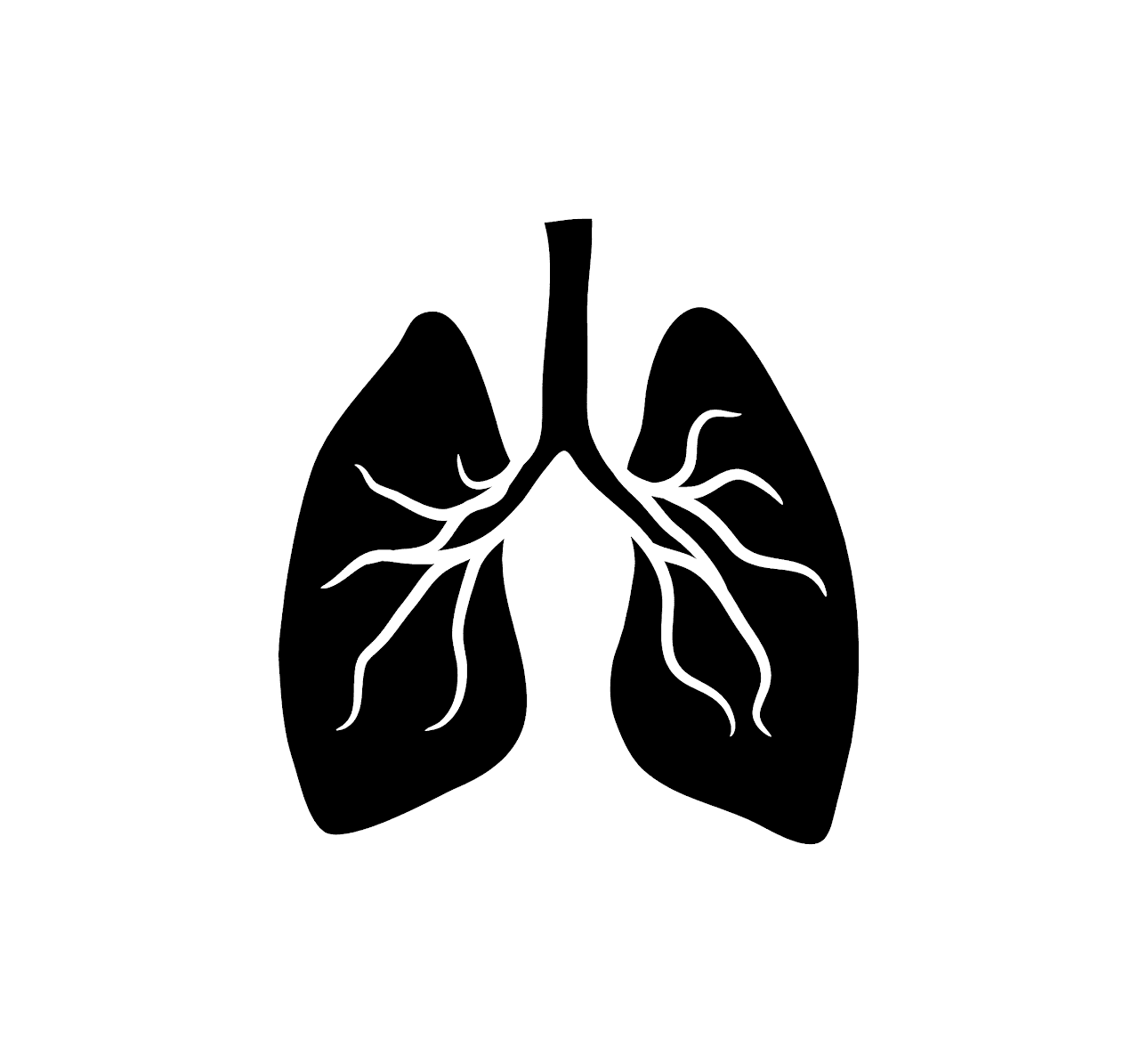 Increase TB awareness